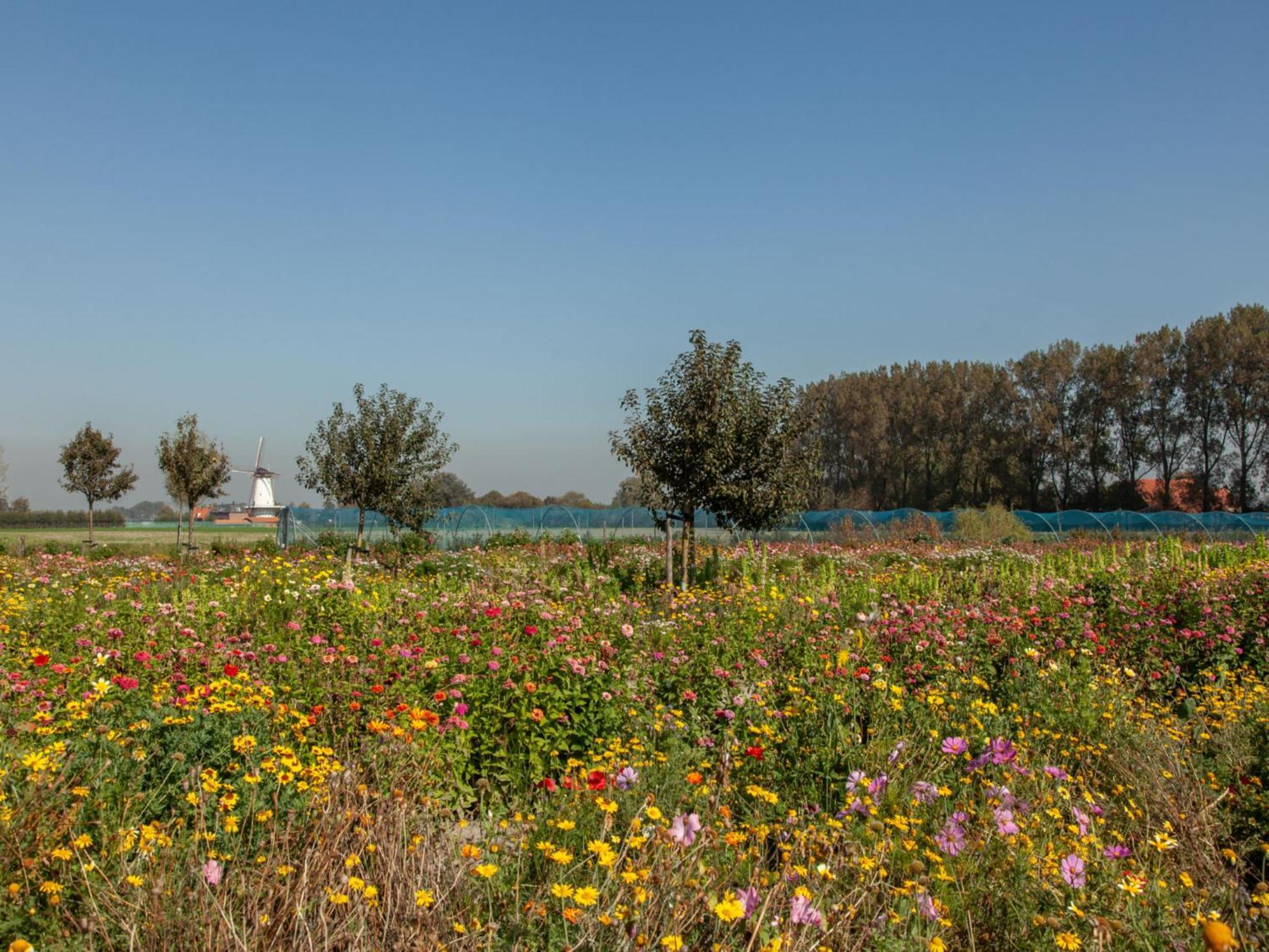 't Bloemenhof By Interhome Vakantiehuis