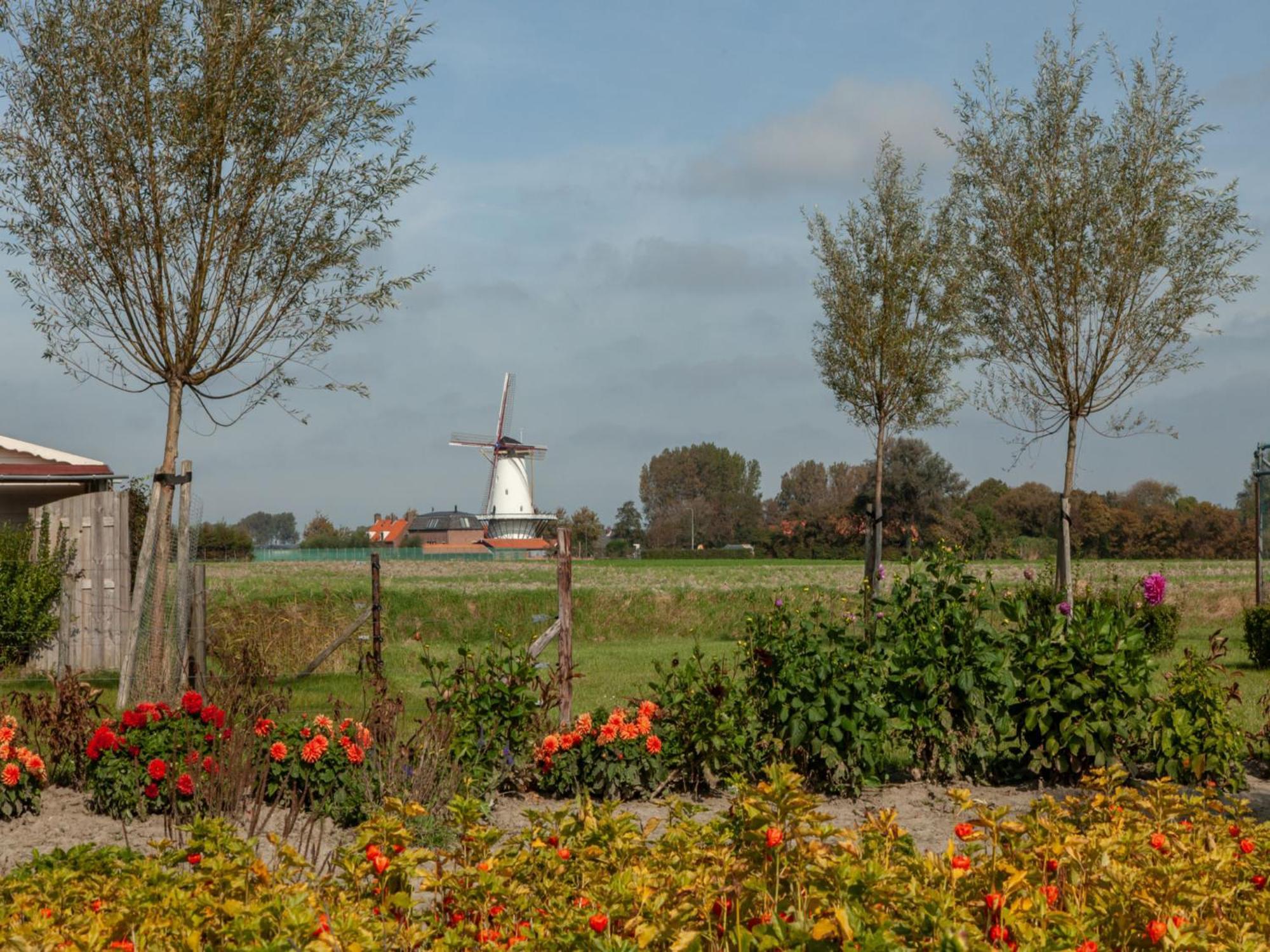 Vakantiehuis 't Bloemenhof By Interhome Koudekerke